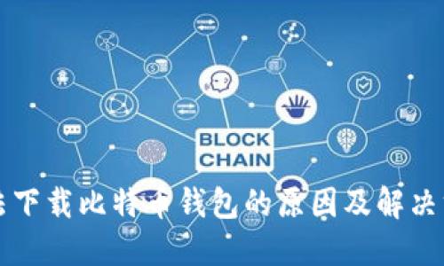 无法下载比特币钱包的原因及解决方案