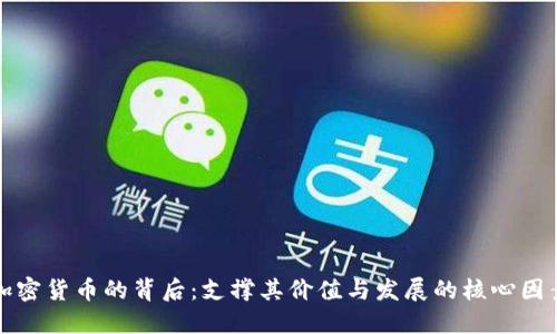 加密货币的背后:支撑其价值与发展的核心因素