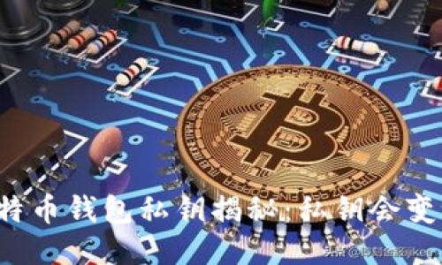 比特币钱包私钥揭秘:私钥会变吗?
