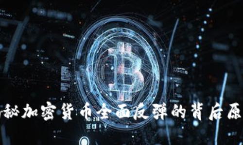 揭秘加密货币全面反弹的背后原因