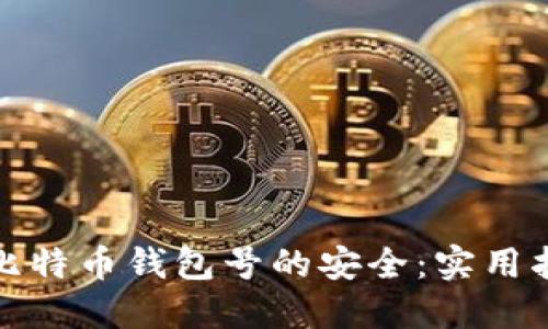 如何确保比特币钱包号的安全：实用指南与技巧