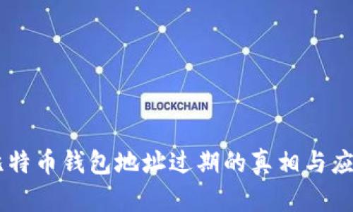 了解比特币钱包地址过期的真相与应对方法