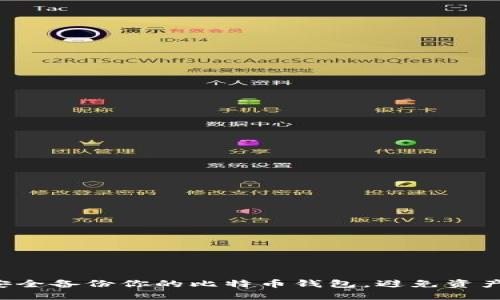 如何安全备份你的比特币钱包，避免资产损失！