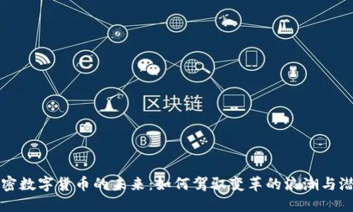 加密数字货币的未来：如何驾驭变革的浪潮与潜力