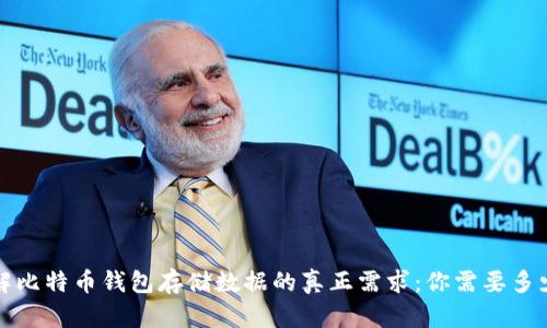 了解比特币钱包存储数据的真正需求：你需要多少G？