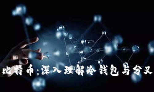掌控你的比特币：深入理解冷钱包与分叉的重要性