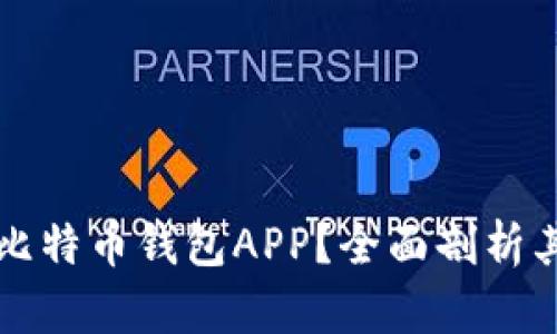 为什么选择无私钥比特币钱包APP？全面剖析其优缺点及使用场景