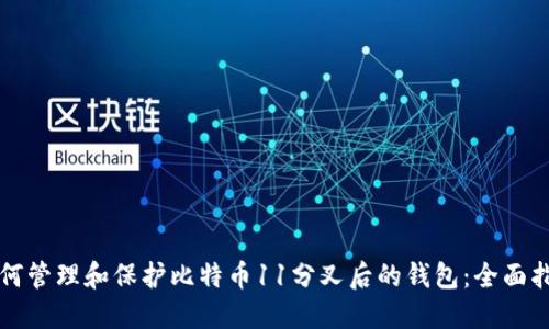 如何管理和保护比特币11分叉后的钱包：全面指南