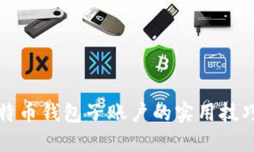 深入探索比特币钱包子账户的实用技巧与安全策略