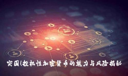 突围！投机性加密货币的魅力与风险揭秘