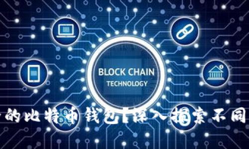 如何选择最安全的比特币钱包？深入探索不同类型与其安全性