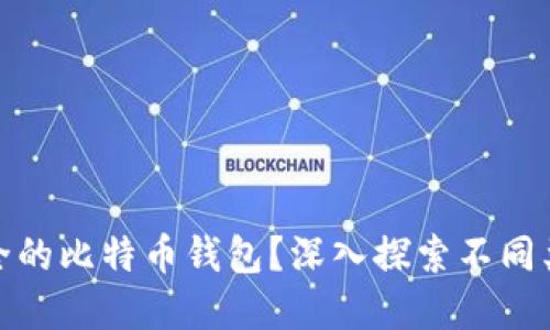 如何选择最安全的比特币钱包？深入探索不同类型与其安全性