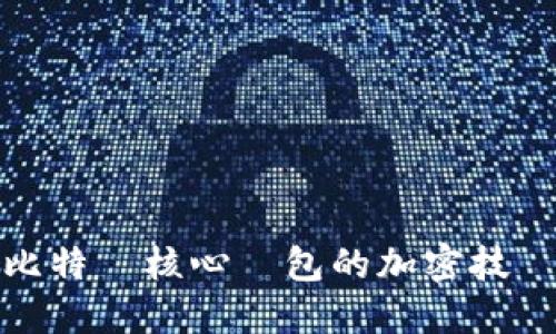 深入探討比特幣核心錢包的加密技術與安全性