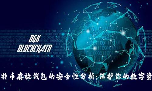 比特币存放钱包的安全性分析：保护你的数字资产