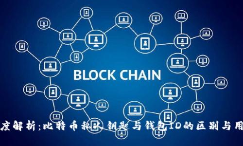 深度解析：比特币私人钥匙与钱包ID的区别与用途