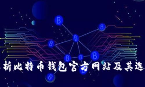 全面解析比特币钱包官方网站及其选择指南