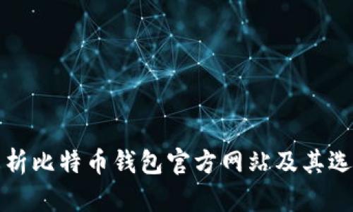 全面解析比特币钱包官方网站及其选择指南