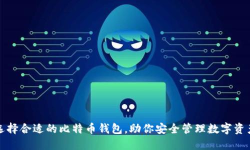 选择合适的比特币钱包，助你安全管理数字资产