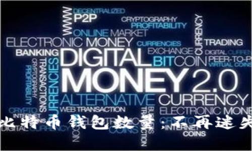 如何轻松查找比特币钱包数量：不再迷失在区块链世界