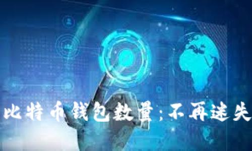 如何轻松查找比特币钱包数量：不再迷失在区块链世界