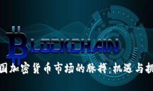 探索中国加密货币市场的脉搏：机遇与挑战并存