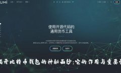 揭开比特币钱包的神秘面纱：它的作用与重要性