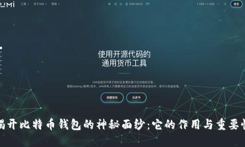 揭开比特币钱包的神秘面纱：它的作用与重要性