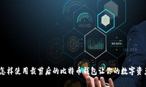 轻松管理：怎样使用裁剪后的比特币钱包让你的数字资产更加安全