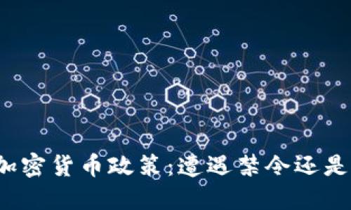 爱尔兰的加密货币政策：遭遇禁令还是探索未来？