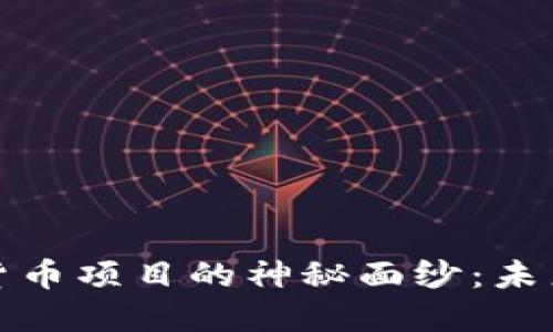 揭开俄罗斯加密货币项目的神秘面纱：未来的数字货币之路