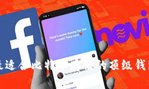 探索最适合比特币存储的顶级钱包推荐