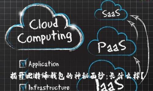 揭开比特币钱包的神秘面纱：长什么样？