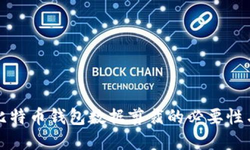 深入探讨比特币钱包数据剪裁的必要性与实施策略