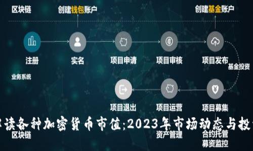 全面解读各种加密货币市值：2023年市场动态与投资机会