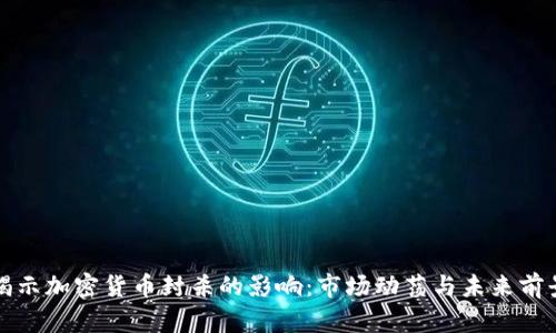 揭示加密货币封杀的影响：市场动荡与未来前景