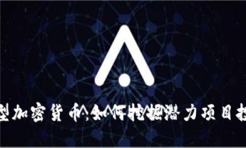 揭秘小型加密货币：如何挖掘潜力项目投资机会