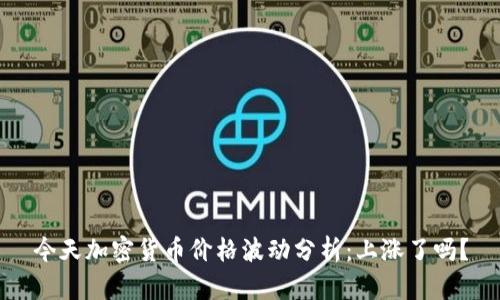 今天加密货币价格波动分析：上涨了吗？