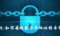 提升安全性：如何有效备份你的比特币钱包云数