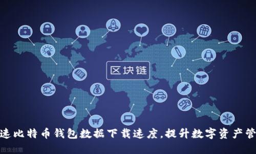 如何加速比特币钱包数据下载速度，提升数字资产管理体验