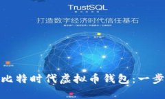 如何选择适合你的比特时代虚拟币钱包：一步一