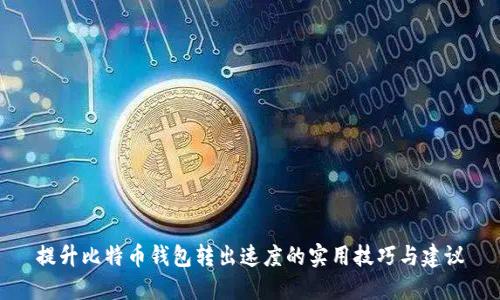 提升比特币钱包转出速度的实用技巧与建议