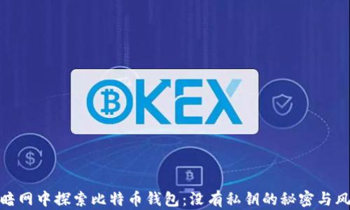 
在暗网中探索比特币钱包：没有私钥的秘密与风险