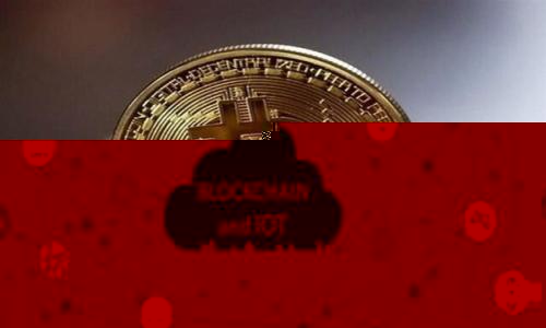 探索加密货币与外星生物的奇妙交汇