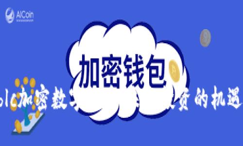 探秘Nblc加密数字货币：未来投资的机遇与挑战