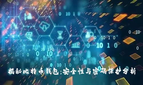 揭秘比特币钱包：安全性与密码保护分析