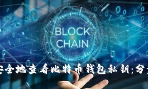 如何安全地查看比特币钱包私钥：分步指南