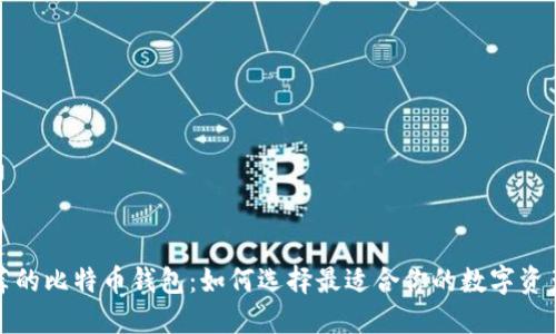 在知乎推荐的比特币钱包：如何选择最适合你的数字资产保护工具