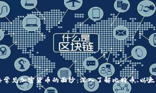 揭开网络常见加密货币的面纱：深入了解比特币、以太坊及更多
