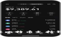 如何选择最佳比特币支持钱包：全面指南