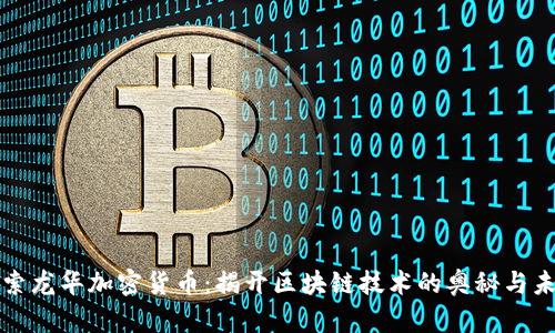 探索龙华加密货币:揭开区块链技术的奥秘与未来